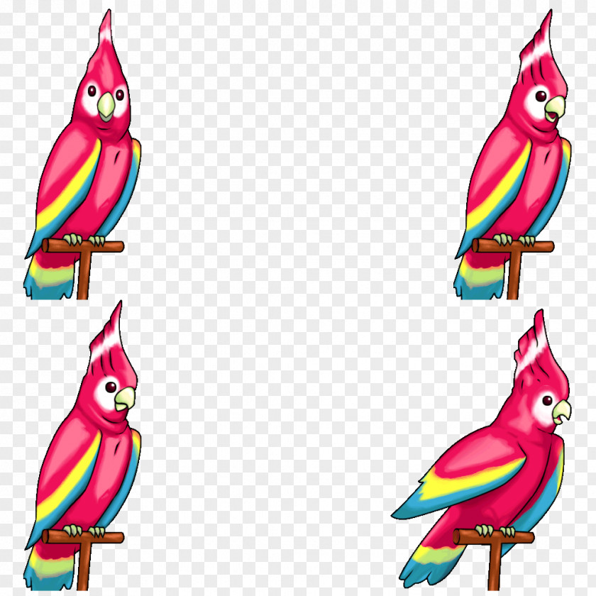 Parrot Beak Clip Art PNG