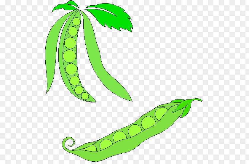 Pea Snap Vegetable Clip Art PNG