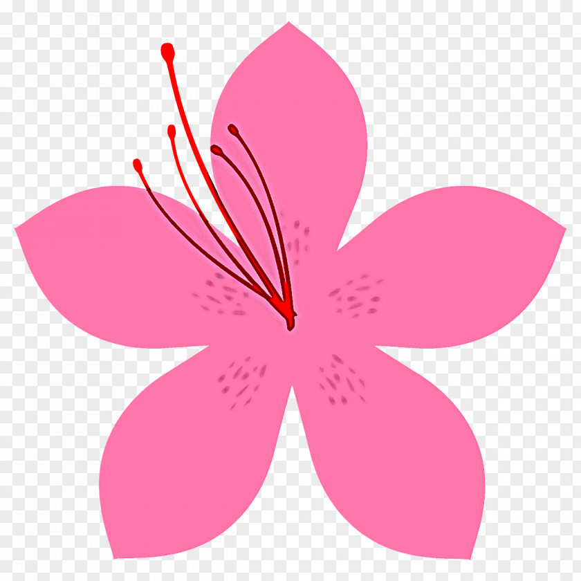 Petal Pink Flower Plant Hibiscus PNG