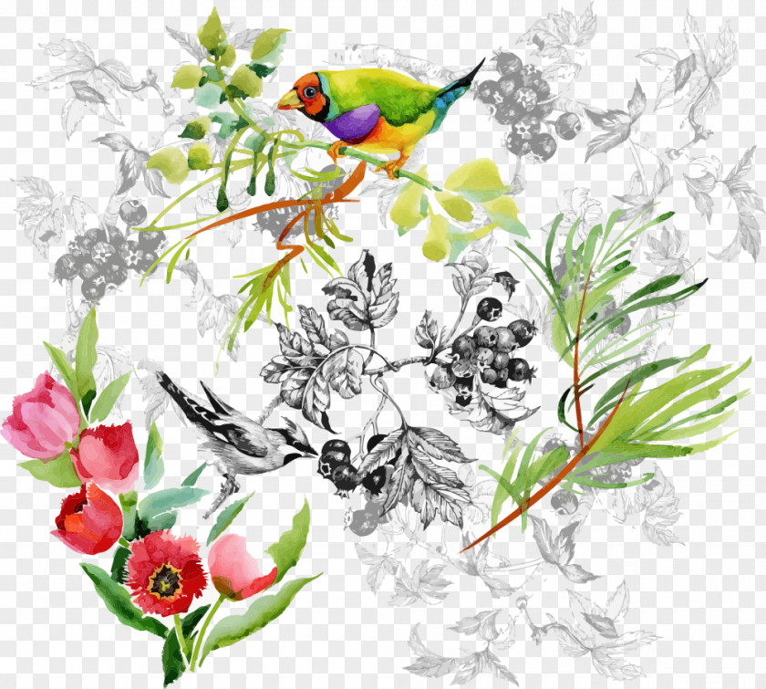 Vector Cartoon Bird Floral Design Watercolor Painting Drawing Illustration PNG