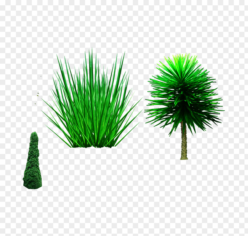 ,castle,Cutout,Trees,Trees,,castle,Cutout Tree Shrub Plant PNG