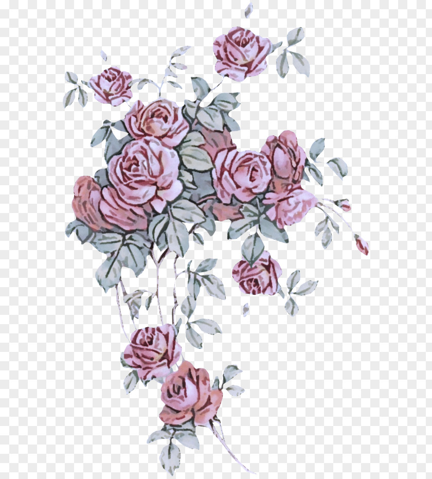 Floral Design Pedicel PNG