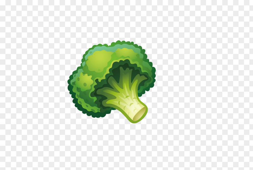 Fresh Cauliflower Vegetable Fruit Child Broccoli PNG