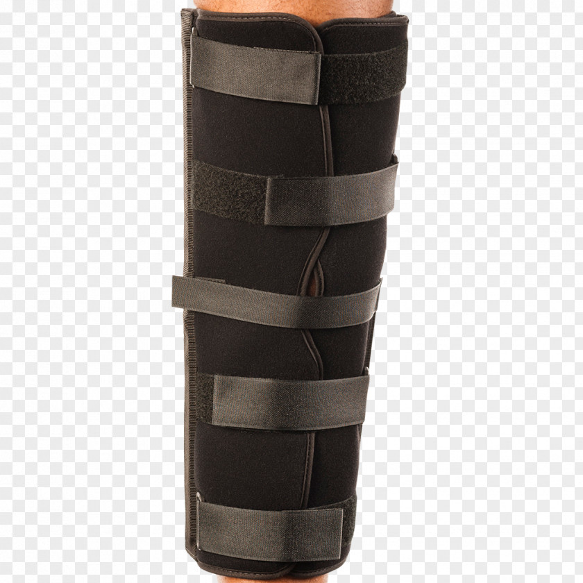 Knee Posterior Cruciate Ligament Anterior Reconstruction Breg, Inc. Popliteal Artery PNG