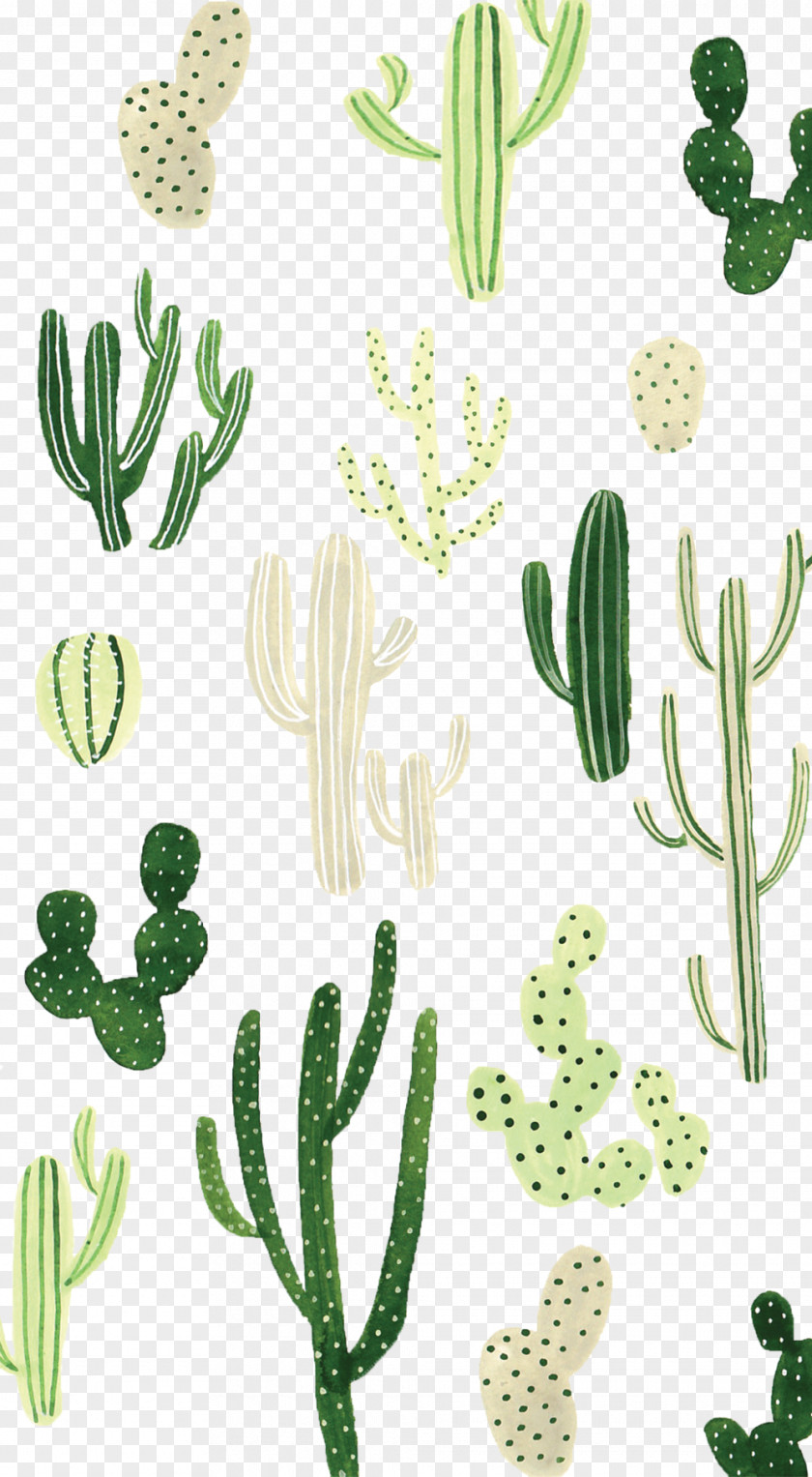 Watercolor Cactus Desktop Wallpaper Cactaceae IPhone PNG