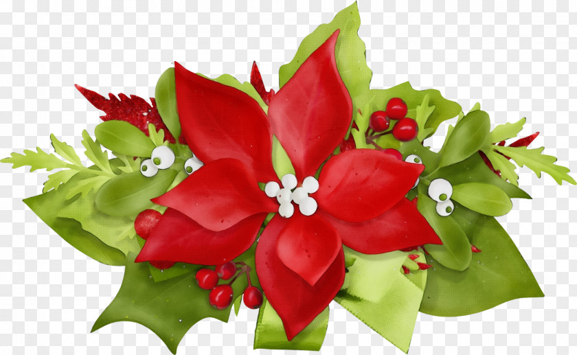Bouquet Holly Red Watercolor Flowers PNG