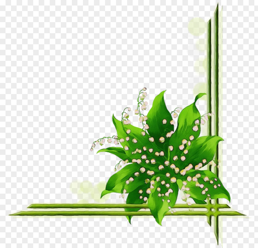 Flower Plant Stem Aquarium Decor Leaf Green PNG