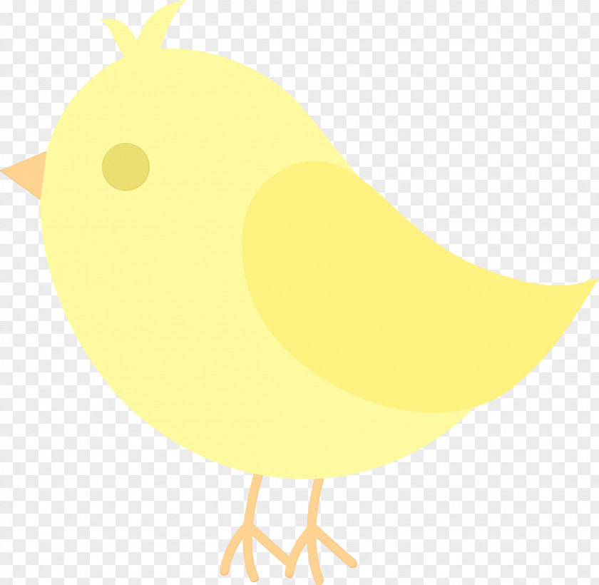 Perching Bird Chicken Yellow Clip Art Cartoon Beak PNG