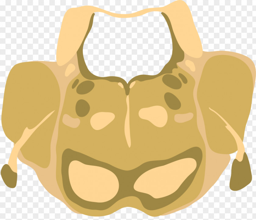 Cranial Nerve Metencephalon Midbrain Pons Medulla Oblongata Myelencephalon PNG