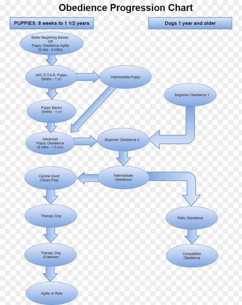 Dog Training Obedience Trial Chart Diagram PNG