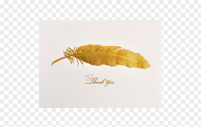 Feather Stationery Greeting & Note Cards Iridescence PNG