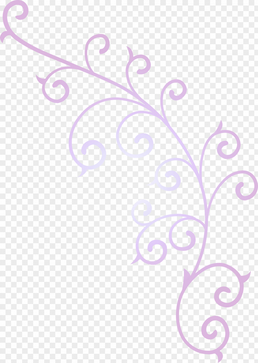 Flower Frame Floral PNG