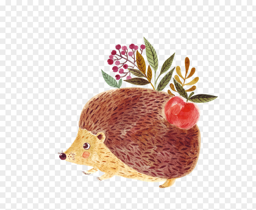 Hedgehog Royalty-free Euclidean Vector Illustration PNG