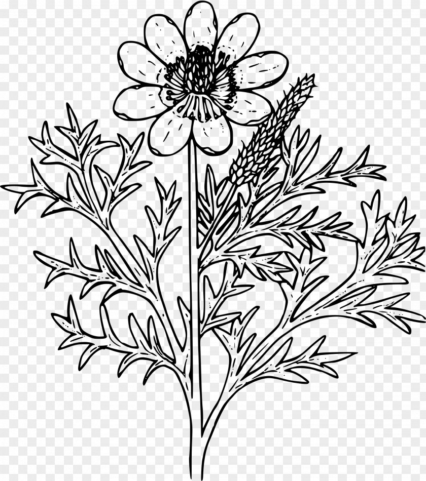 Pheasant Floral Design Wildflower Clip Art PNG