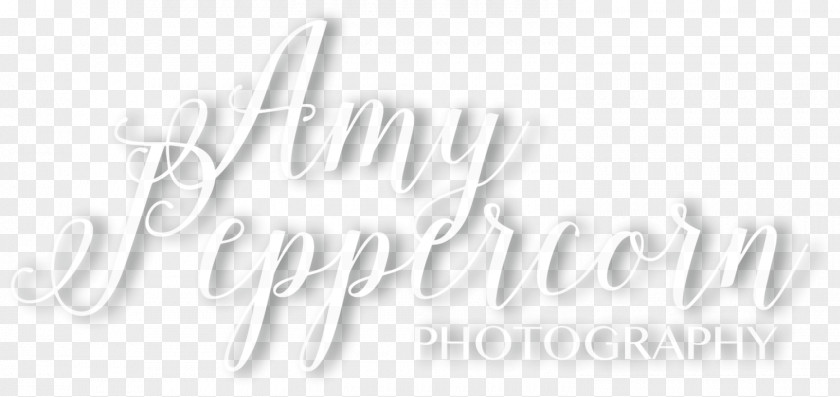 Photographer Wedding Photography Black And White PNG