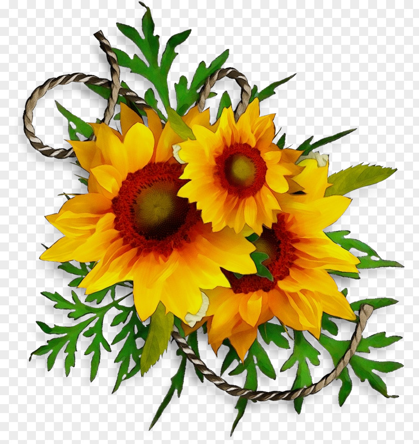 Annual Plant English Marigold Bouquet Of Flowers Drawing PNG