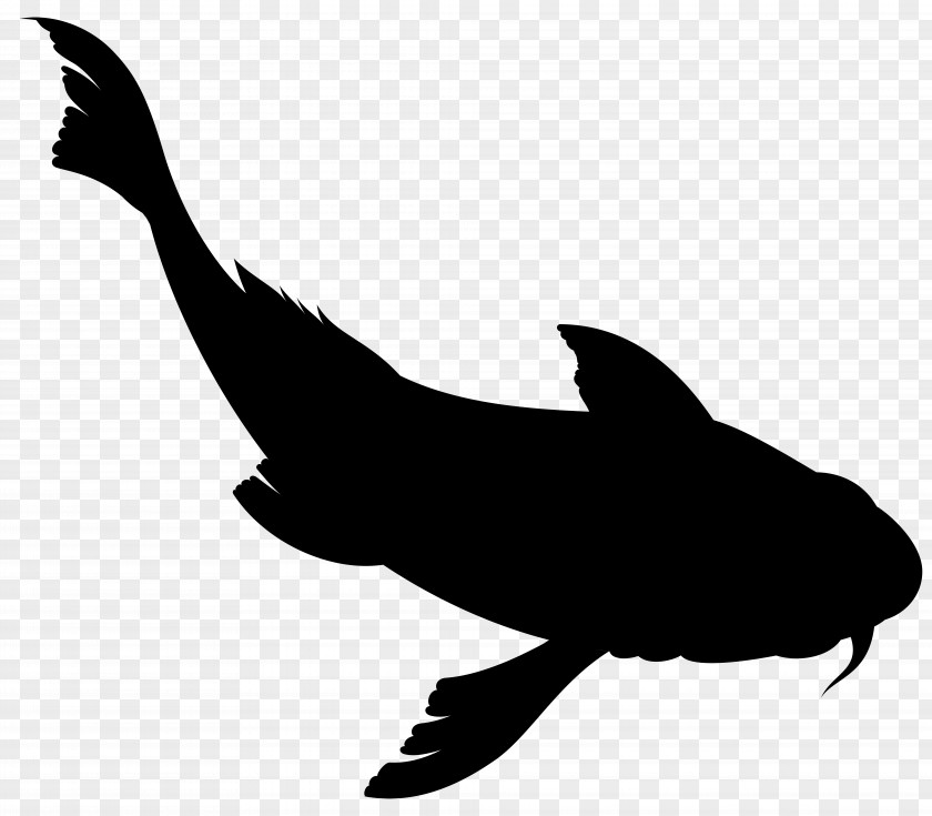 Dolphin Clip Art Fauna Silhouette Beak PNG