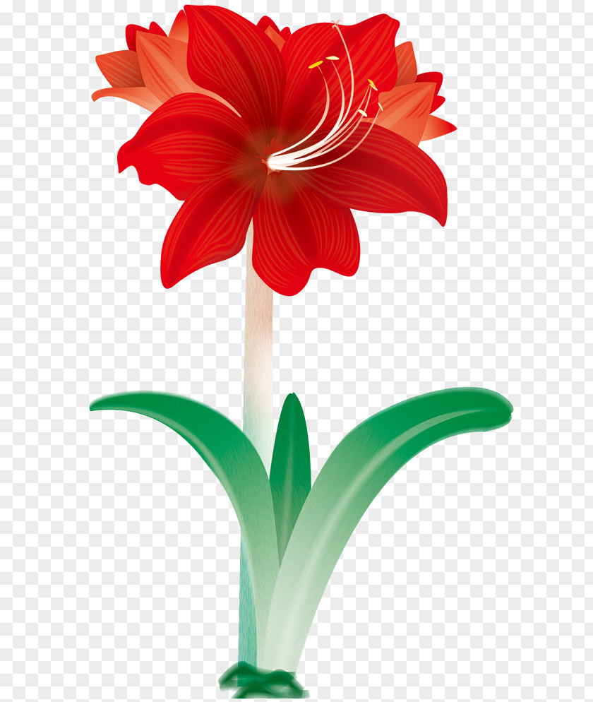 Flower Red Ribbon Orange Textile PNG