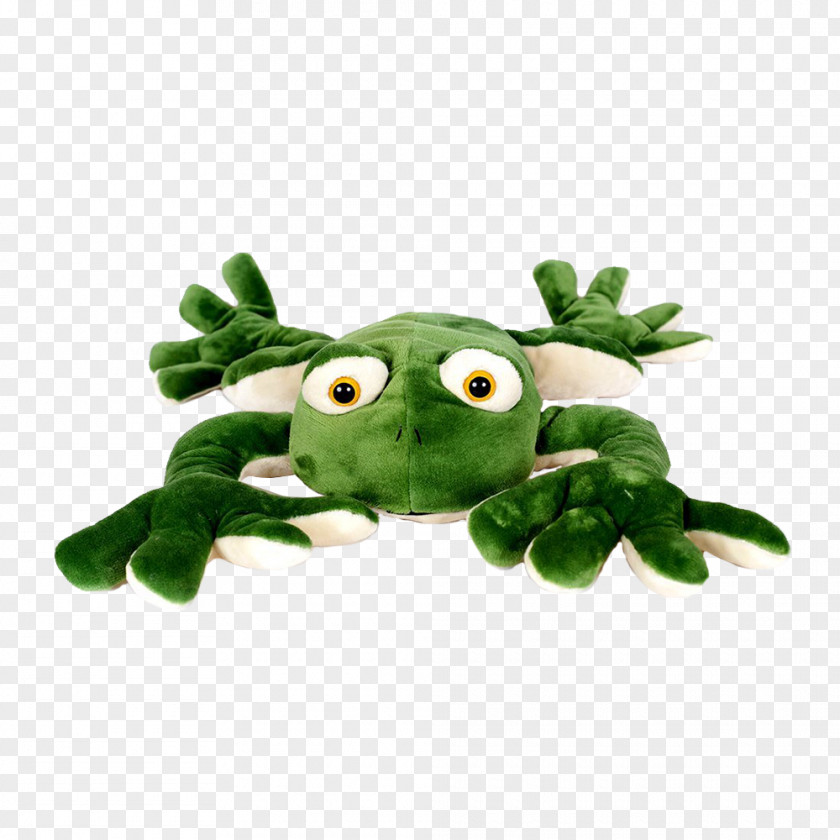 Frog Toad Stuffed Animals & Cuddly Toys True Tree PNG