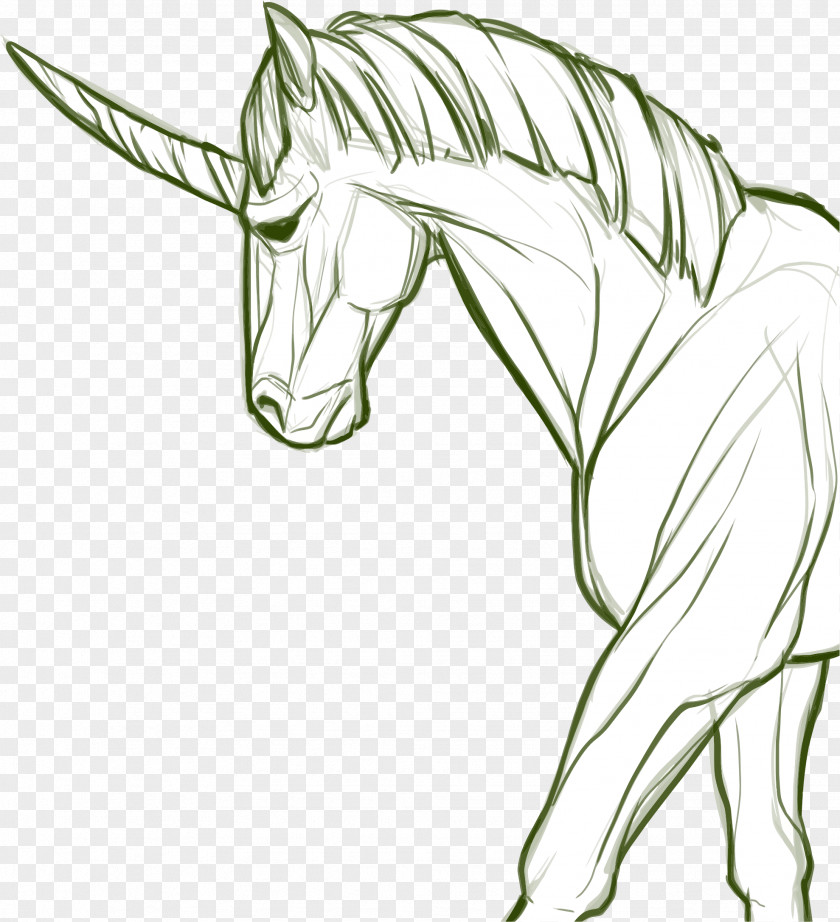 Unicorn Horn Horse Line Art PNG