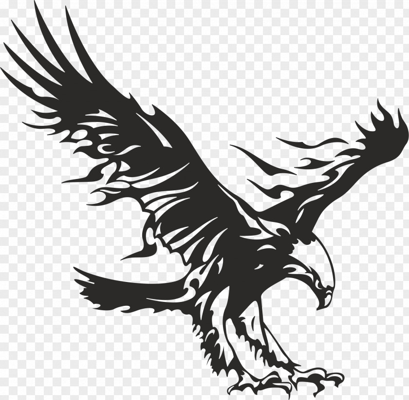 American Eagle Wall Decal Car Bumper Sticker PNG