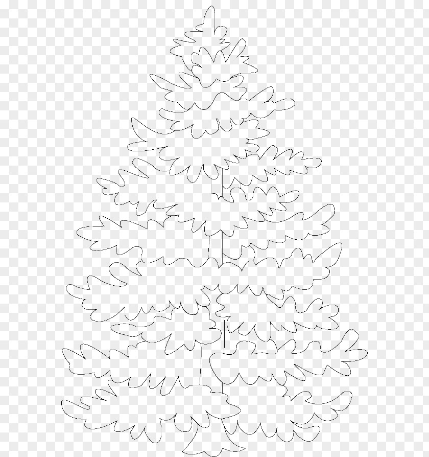 Color Tree Spruce Christmas Fir Line Art PNG