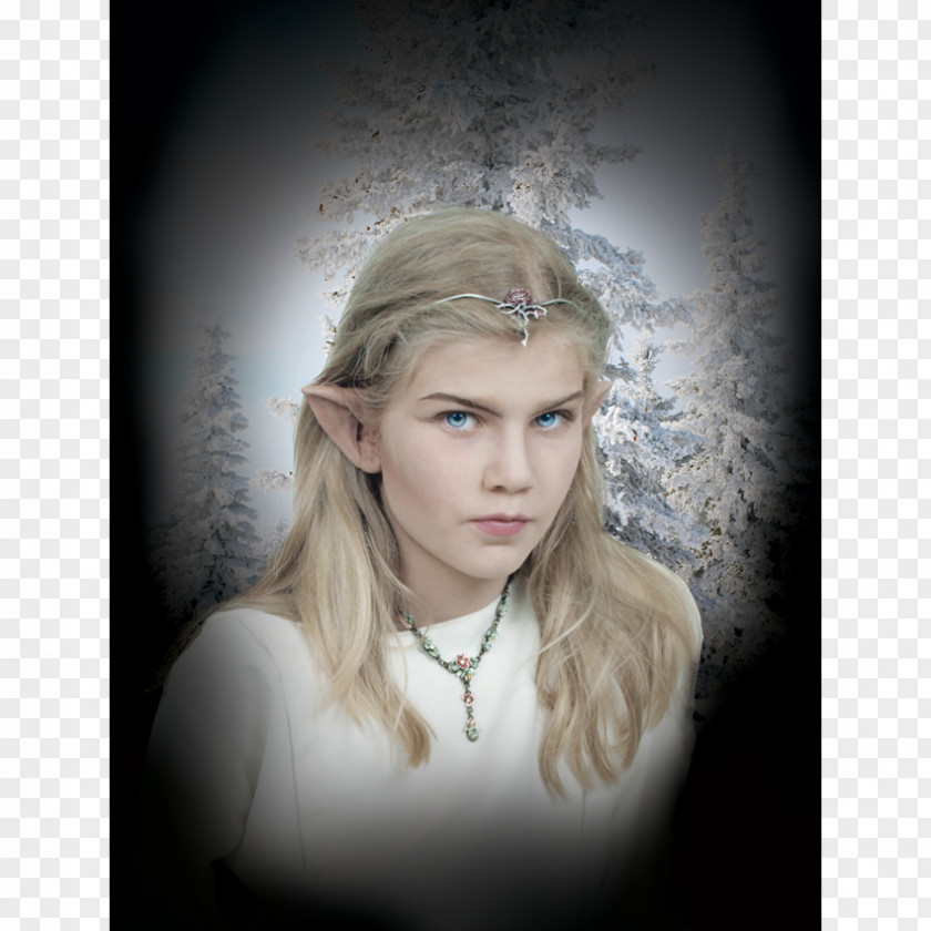 Elf Ear Auricle Prosthesis Dark Elves In Fiction PNG