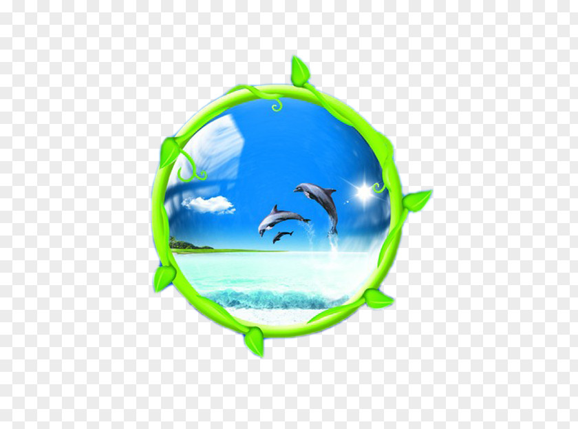 Frame Dolphin Illustration PNG