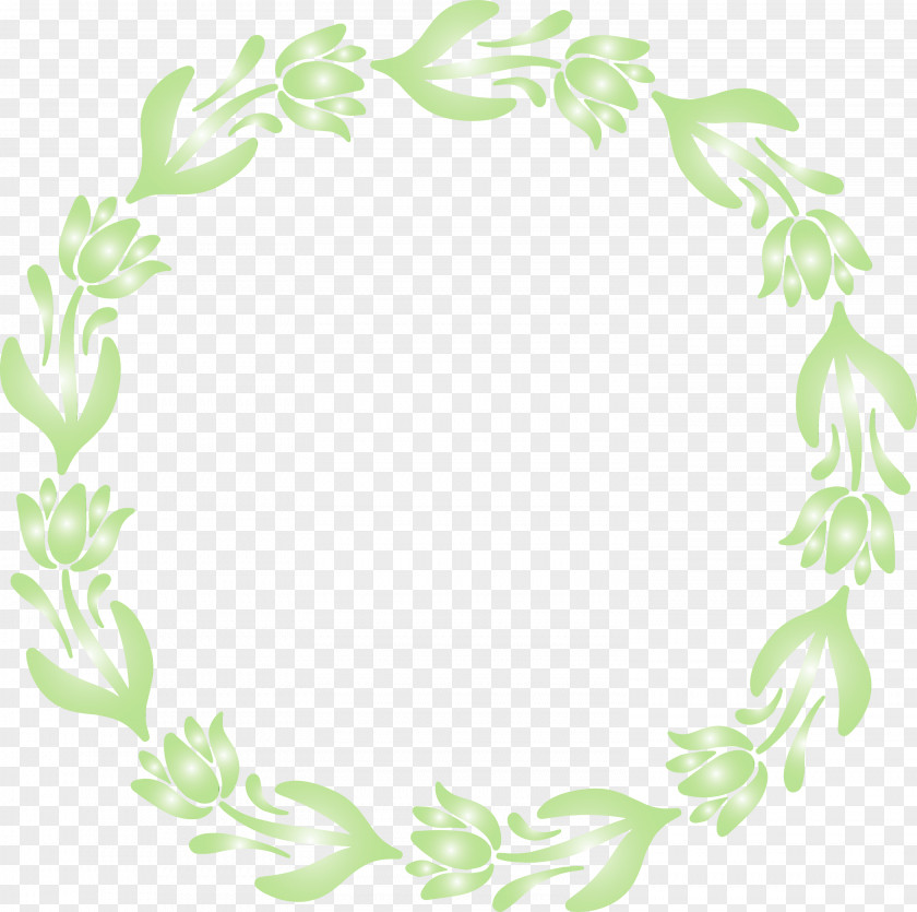 Leaf Plant PNG