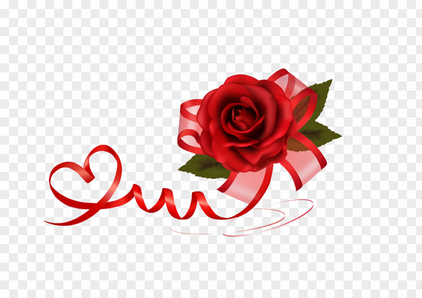 Rose Bow Valentines Day Gift Clip Art PNG