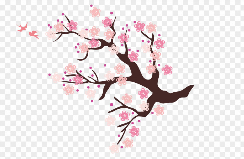 A Plum Common Blossom Cherry PNG