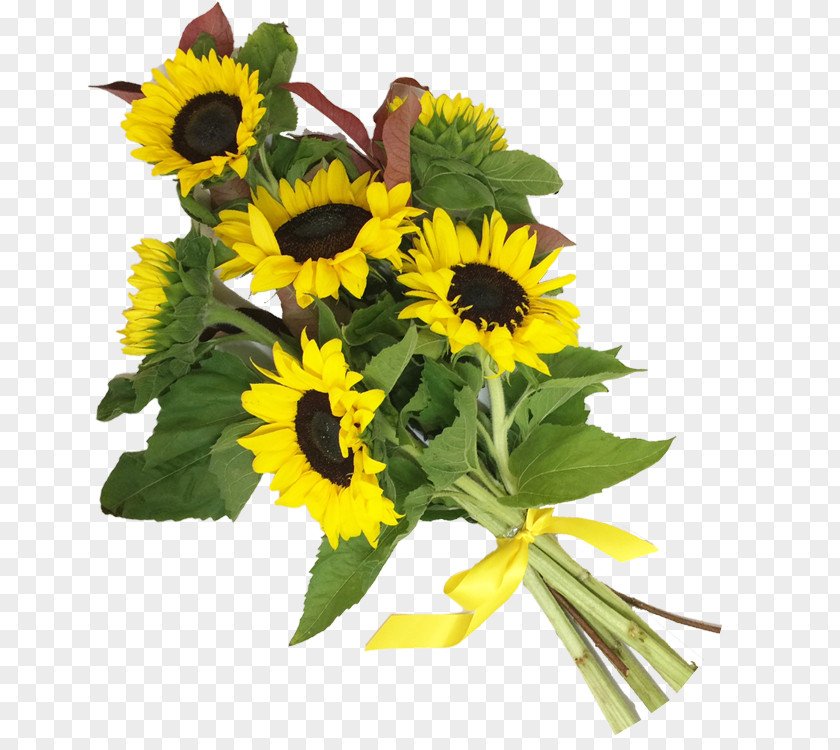 Flower Common Sunflower Bouquet Cut Flowers Floral Design PNG