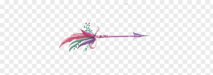 Beautiful Feather Arrows PNG feather arrows clipart PNG