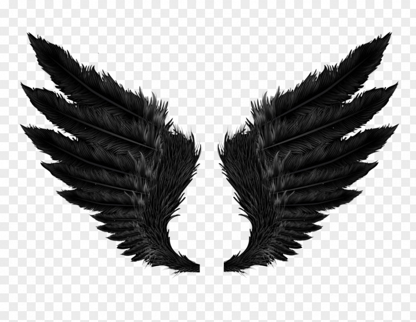 Black Angel Wings PNG Wings, black wings illustration clipart PNG