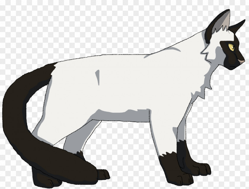 Cat Cattle Mustang Mammal Goat PNG