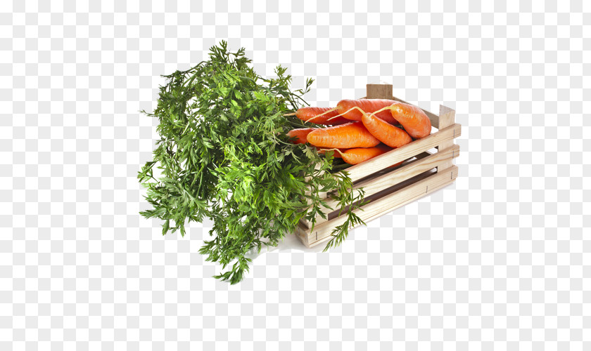 Fresh Vegetables Carrot Vegetable Vegetarian Cuisine Fruit Food PNG
