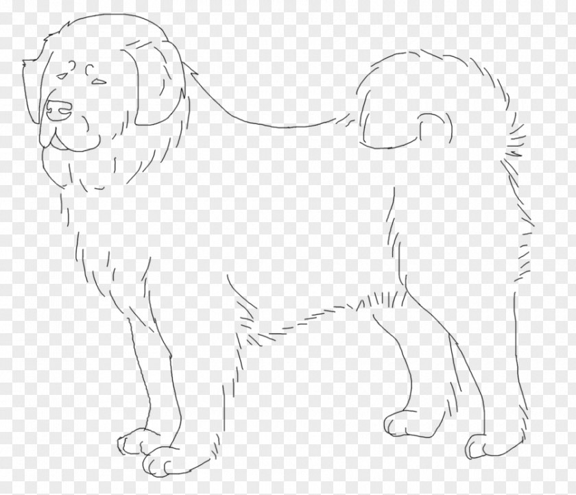 Tibetan Mastiff Dog Breed Puppy Whiskers Sketch PNG