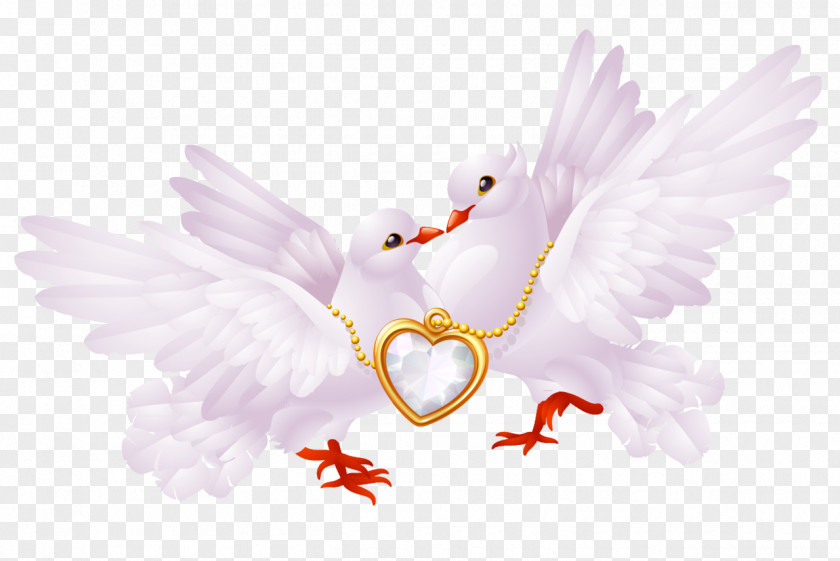 Wedding Vector Columbidae Bird Love Clip Art PNG