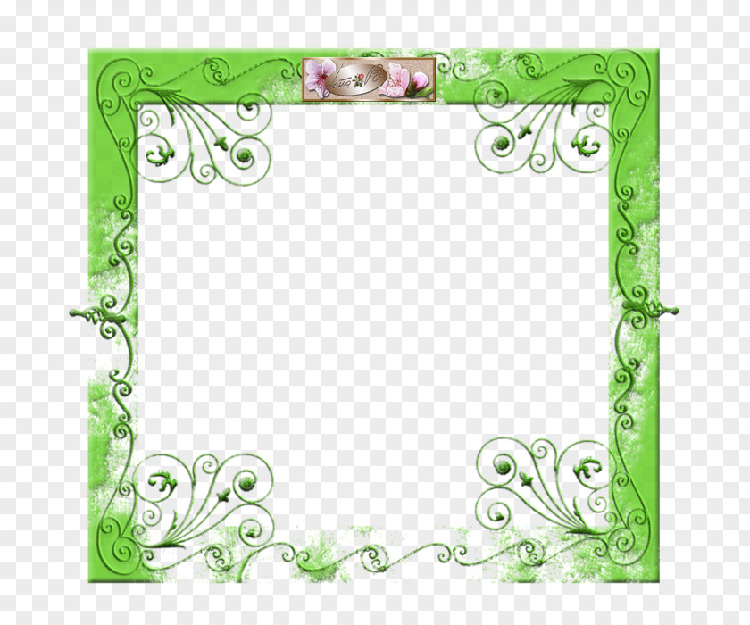Design Floral Picture Frames Leaf Pattern PNG