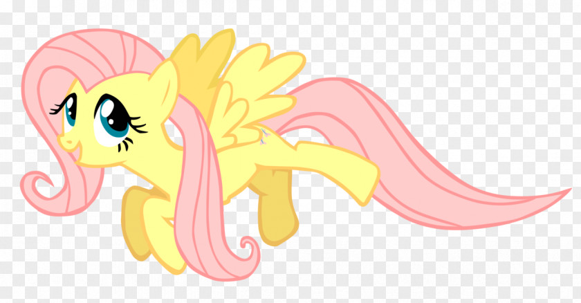 My Little Pony Fluttershy Rainbow Dash Animation PNG