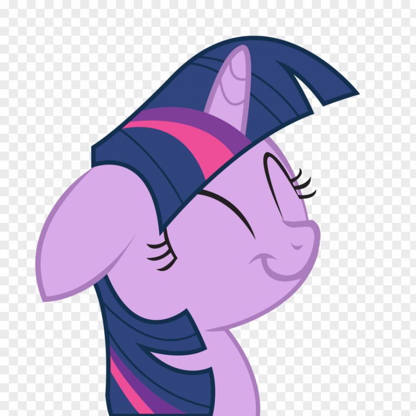 My Little Pony Twilight Sparkle Rainbow Dash Pinkie Pie Rarity Spike PNG