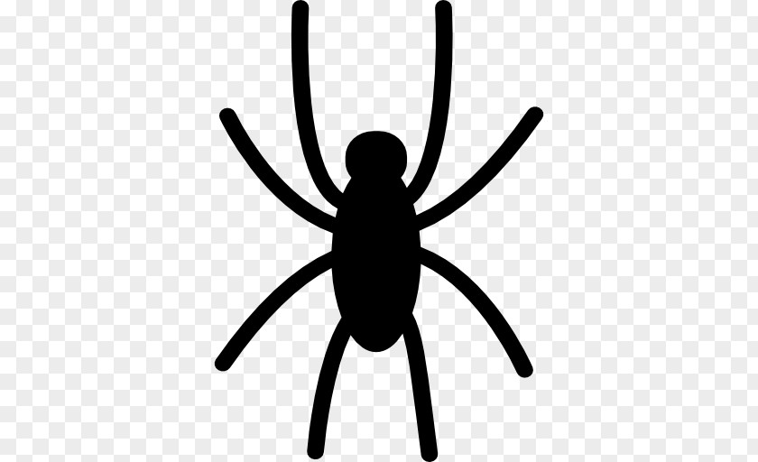 Spider PNG