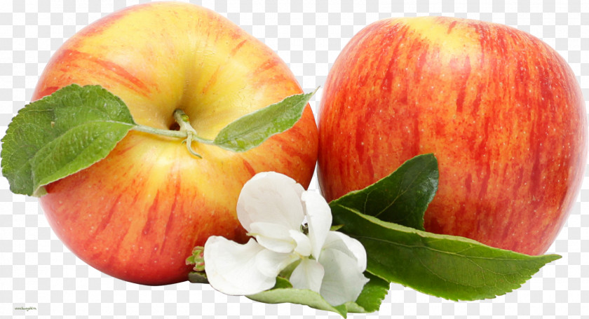 Apple Fruit Desktop Wallpaper PNG