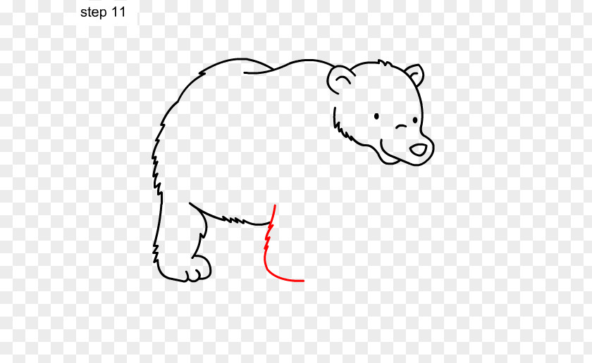Bear Drawing Whiskers Sketch PNG
