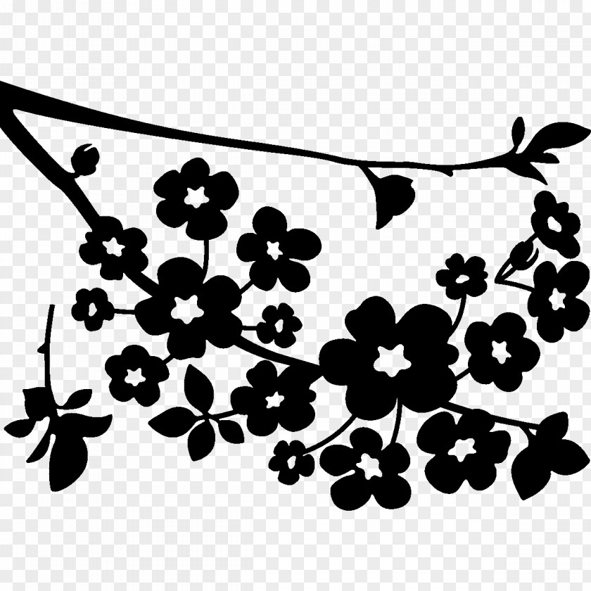 Cherry Blossom Drawing Coloring Book Clip Art PNG