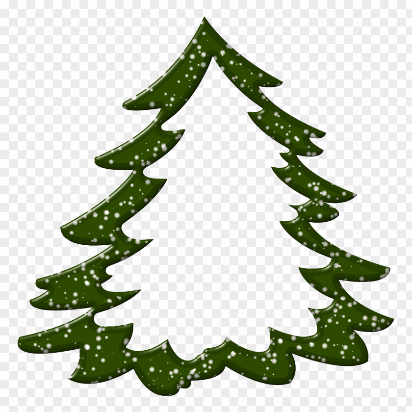 Christmas Tree Spruce Fir Pine Day PNG