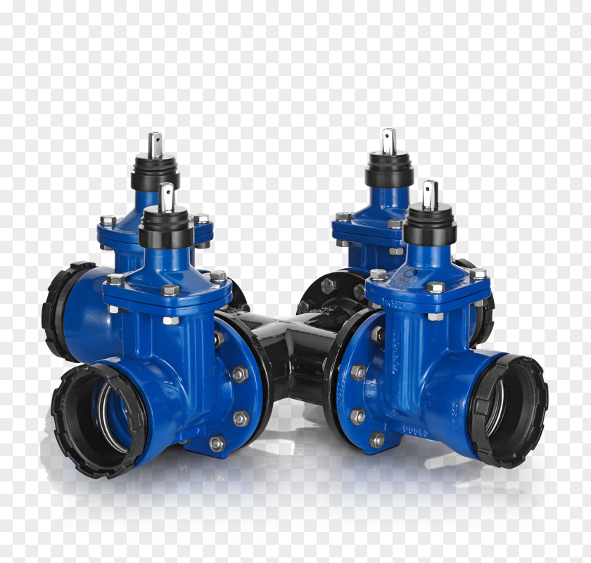 Drinking Water Valve Common Fig Flange PNG