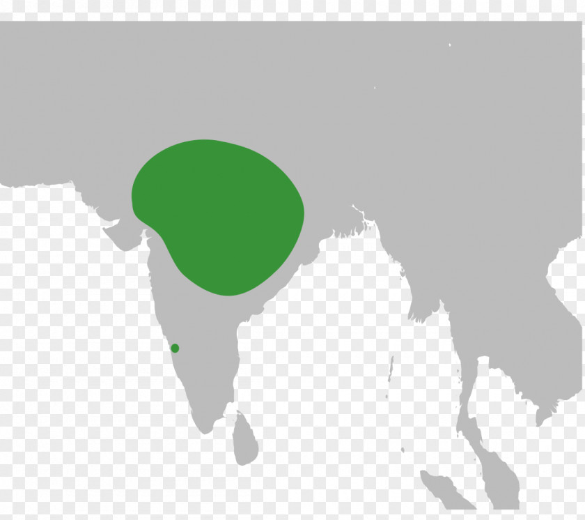 East Asia South Asia-Pacific Europe PNG