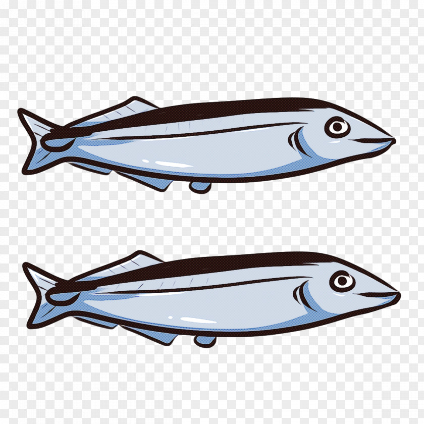 Fish Font Automobile Engineering Biology Science PNG