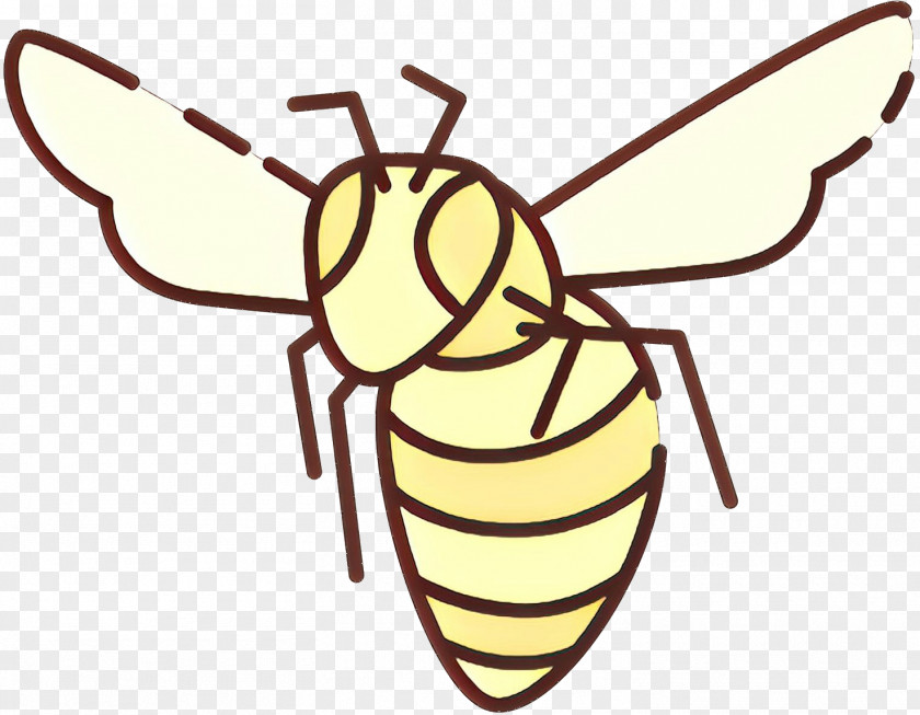 Honey Bee Clip Art Insect Product PNG